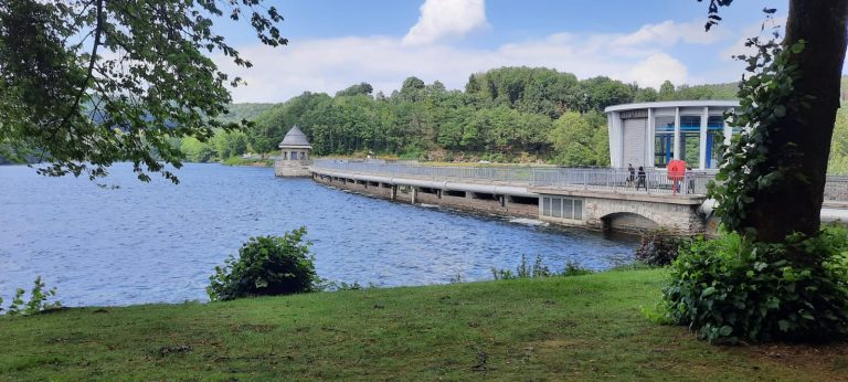 Wieder auf der Straße