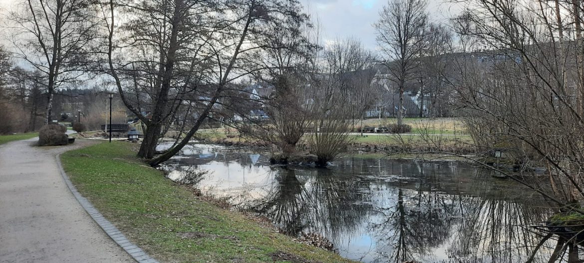 Frühlingserwachen im Sauerland